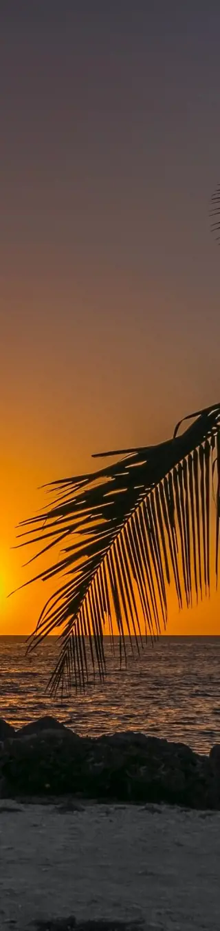 Begib dich auf die Reise ins malerische Key West